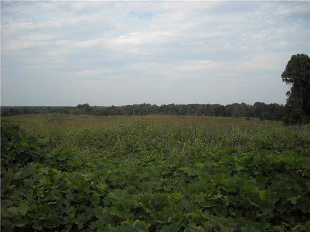 5 Stewart Rd - Photo 1