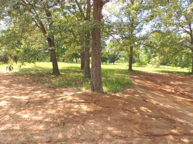 1502 Dewberry Rd - Photo 1