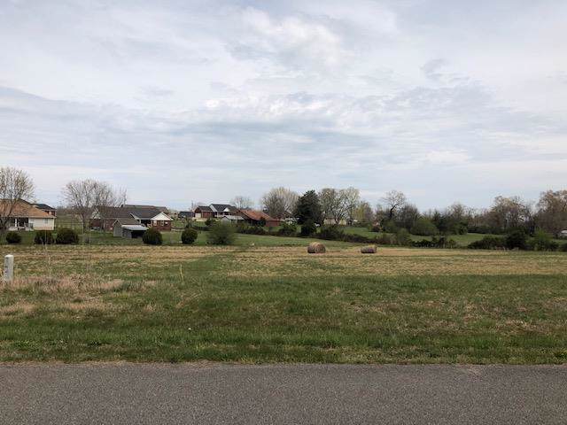 0 Dewitt Dr (Lot 3) - Photo 1