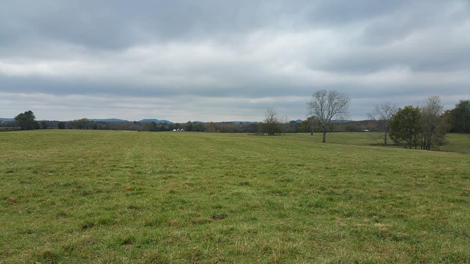 2 Beasley Rd - Photo 1