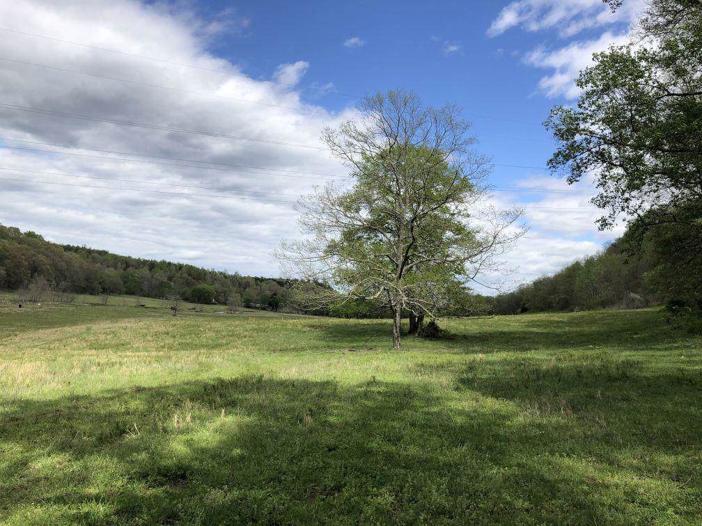 0 Brushy Rd - Photo 1
