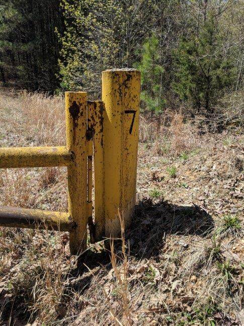 0 Lick Creek Rd - Photo 1