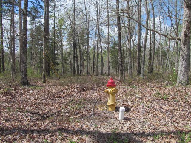 319 Briar Hollow Rd - Photo 1