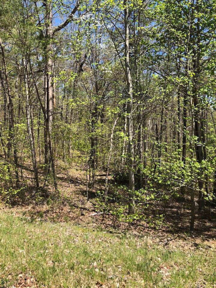 0 W Laurel Way - Photo 1
