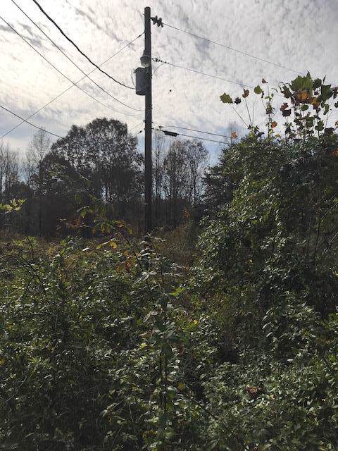 1973 Mill Dam Road - Photo 1