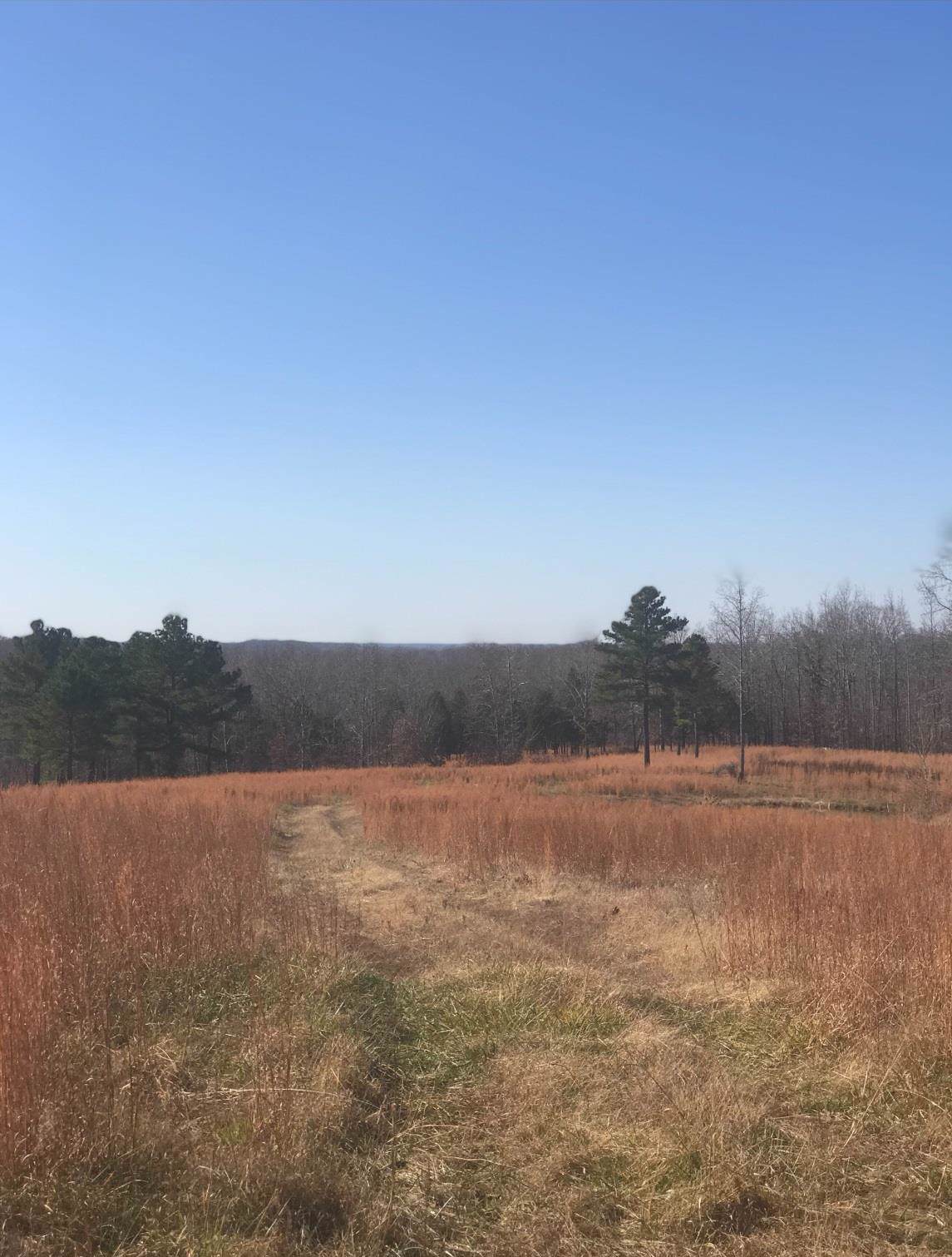 24 Hayes Ridge Rd. - Photo 1