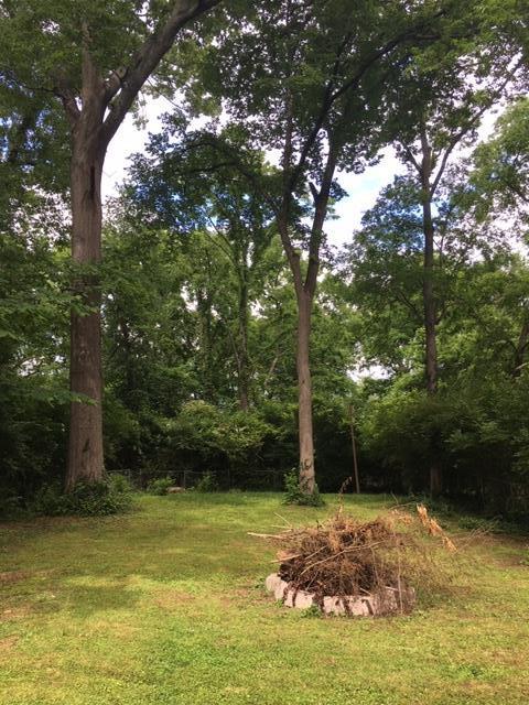 1349 Cardinal Avenue - Photo 1