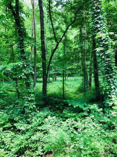 0 Pond Creek Rd - Photo 1