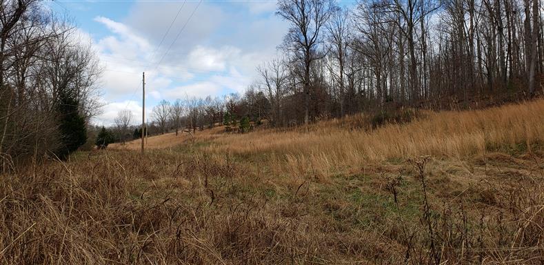 9 Campbellsville Pike - Photo 1