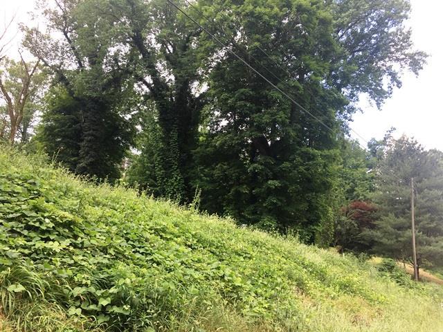 0 Great Falls Rd - Photo 1