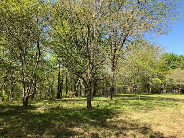 7950 Fisher Rd Lot #3 - Photo 1