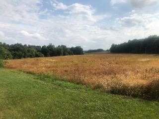 1880 Witcher Hollow Road - Photo 1