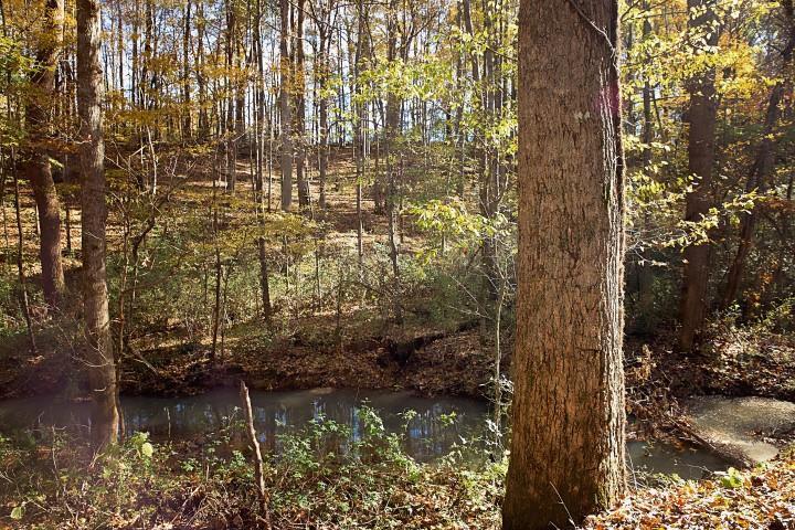 0 Rutledge Falls Rd - Photo 1