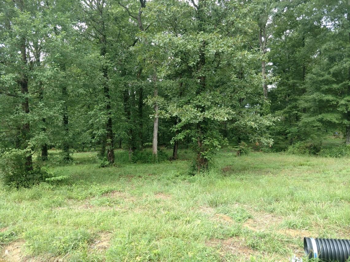 0 Skip Ave - Photo 1
