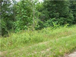 0 Parrish Hollow Road - Photo 1
