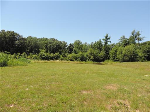 3156 Austin Brian Ct. - Photo 1