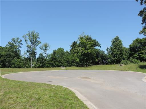 3160 Austin Brian Ct. - Photo 1