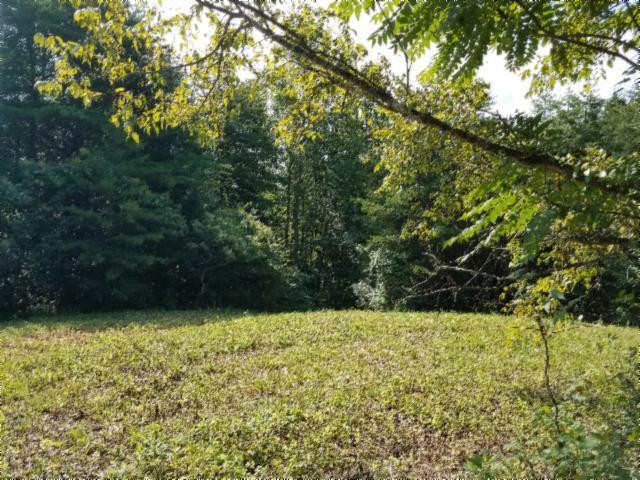 131 .61 Ac Mccormick Rdg Rd. - Photo 1