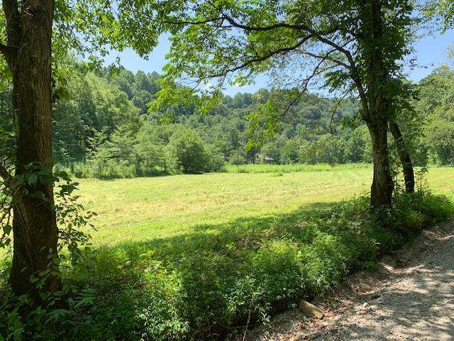 0 Shrum Hollow Road - Photo 1