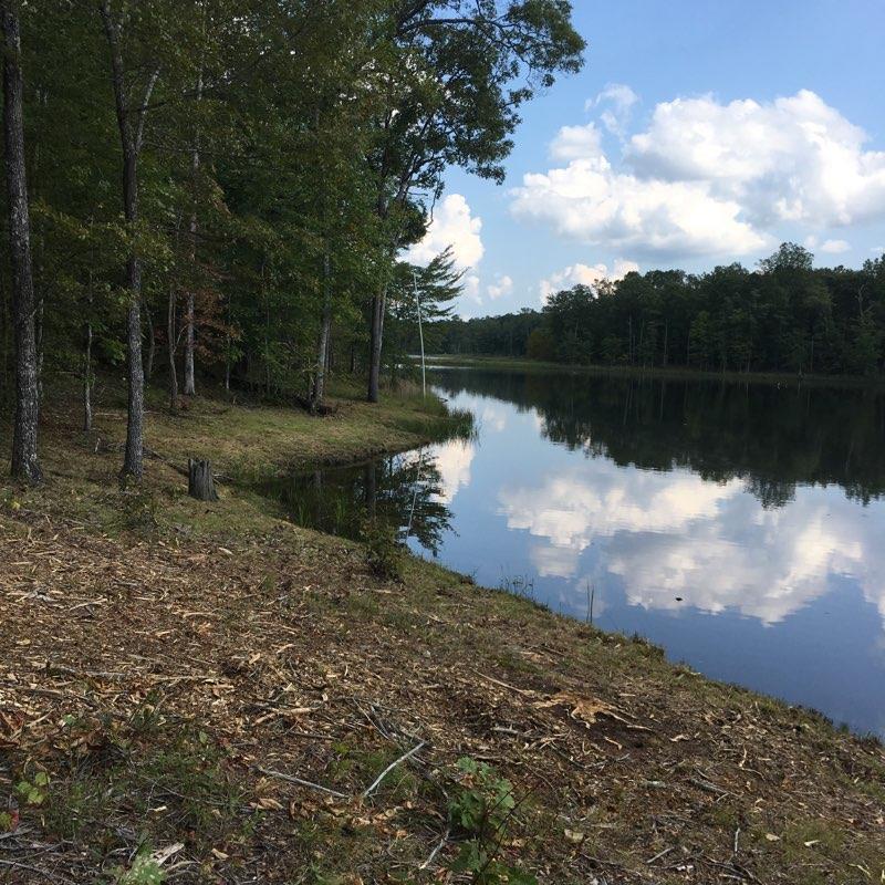 0 Hemlock Ln - Photo 1