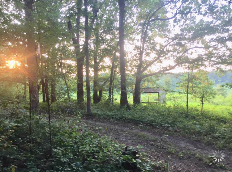 6783 Brown Hollow Rd - Photo 1