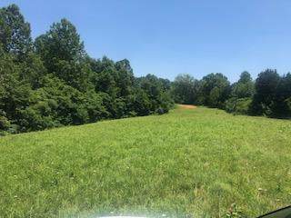 7913 Daugherty Capley Rd - Photo 1