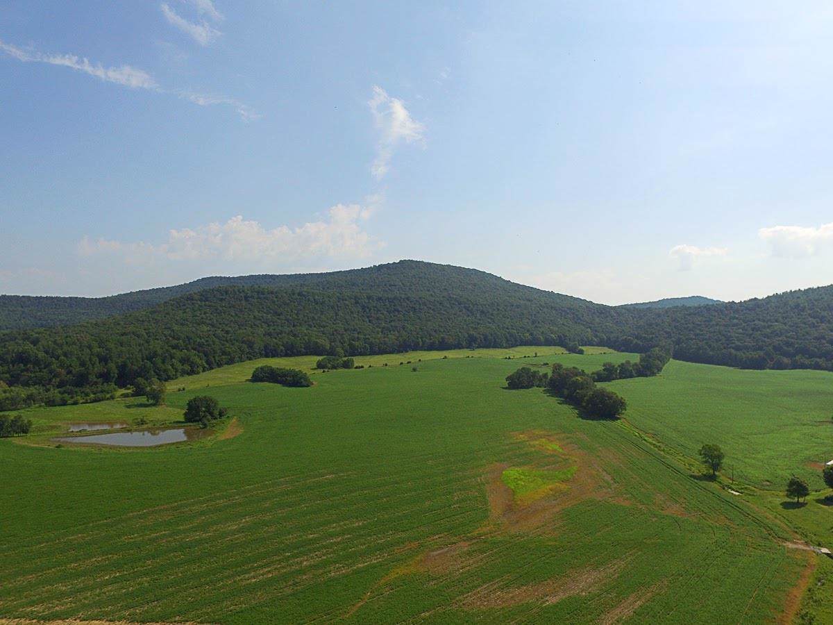 505 Thaxton Rd - Photo 1