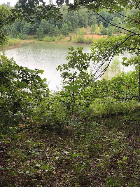 31 Aerie Lake Circle - Photo 1