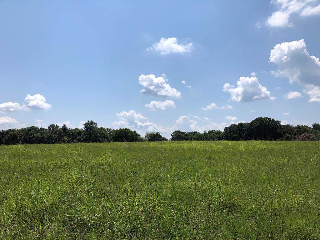 713 Gary Lane - Photo 1