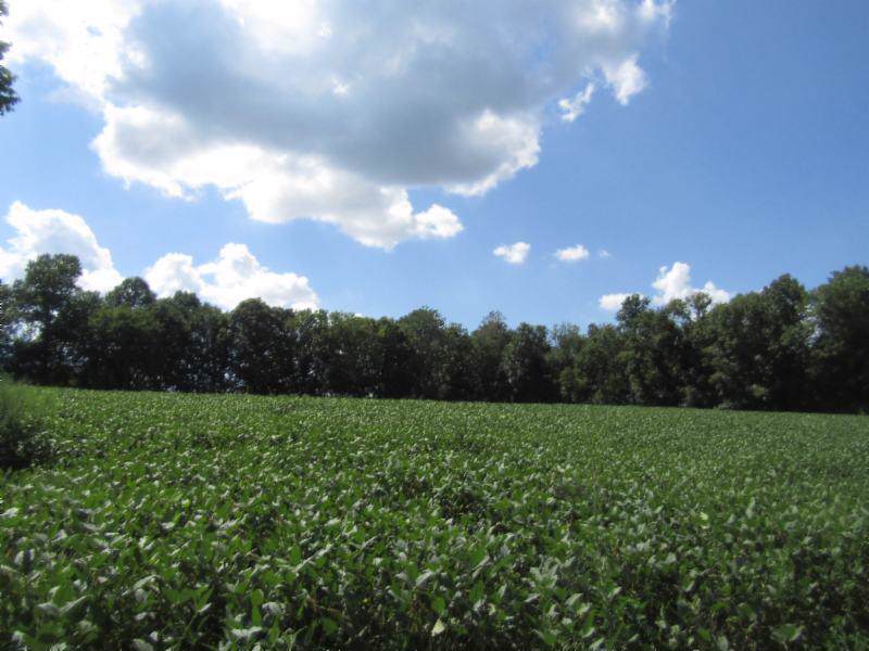 22 .90Ac Rodgers Ln - Photo 1