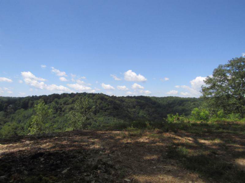 24 .36Ac Casey Cove Road - Photo 1