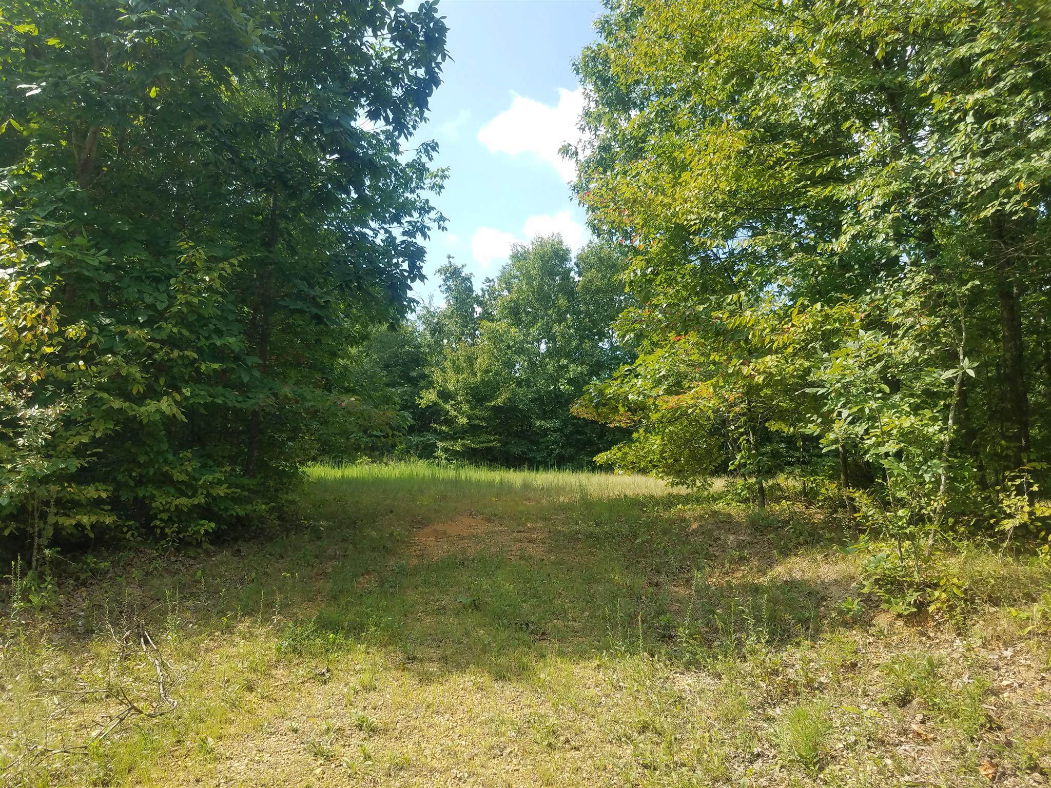 0 Keel Hollow Rd - Section C - Photo 1