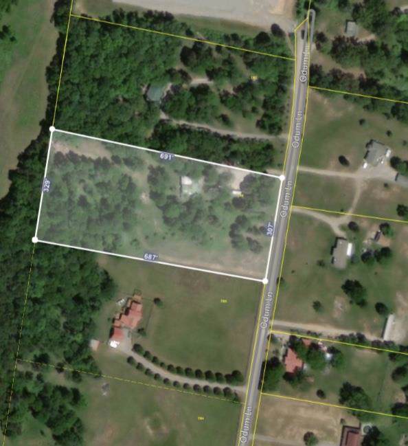 439 Odum Ln - Photo 1