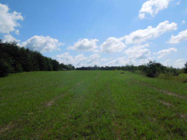 8 .73 Ac Dodson Branch Hwy - Photo 1