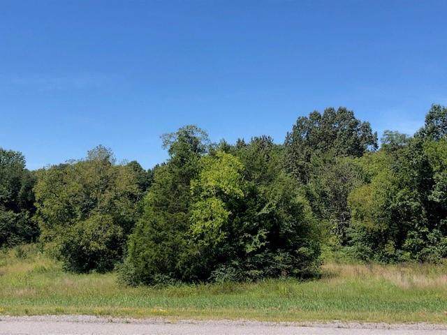 0 Highway 231 North - Photo 1