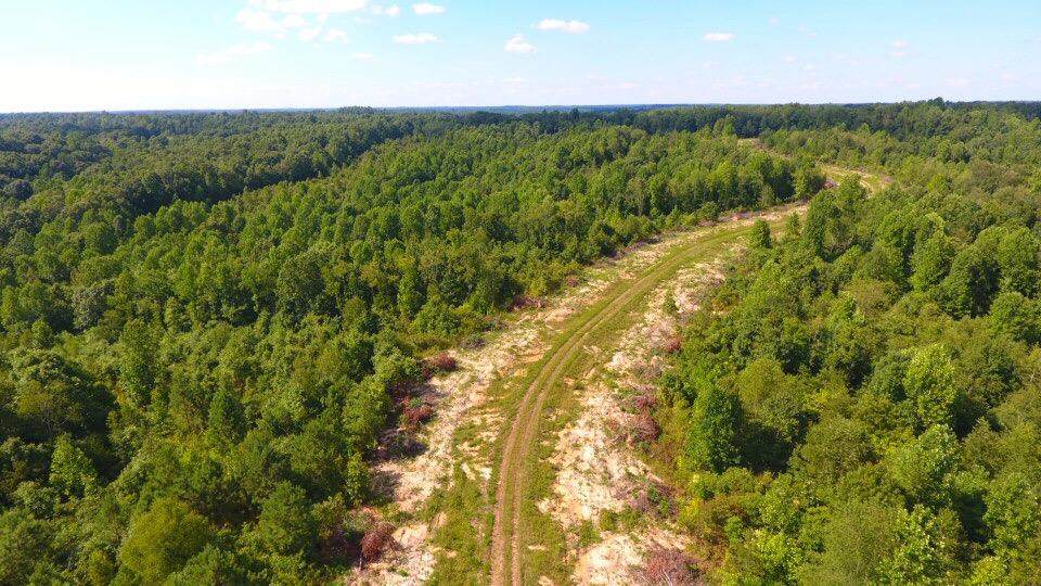 0 Deer Haven - Photo 1
