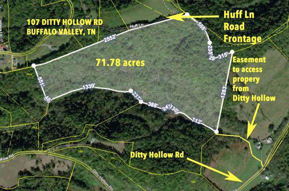 107 Ditty Hollow Rd - Photo 1