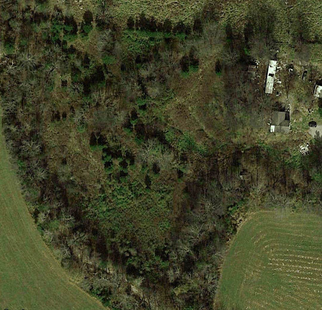 1230 Neal Rd - Photo 1