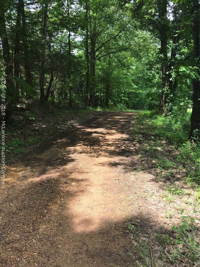 0 Old Nance Bend Rd - Photo 1