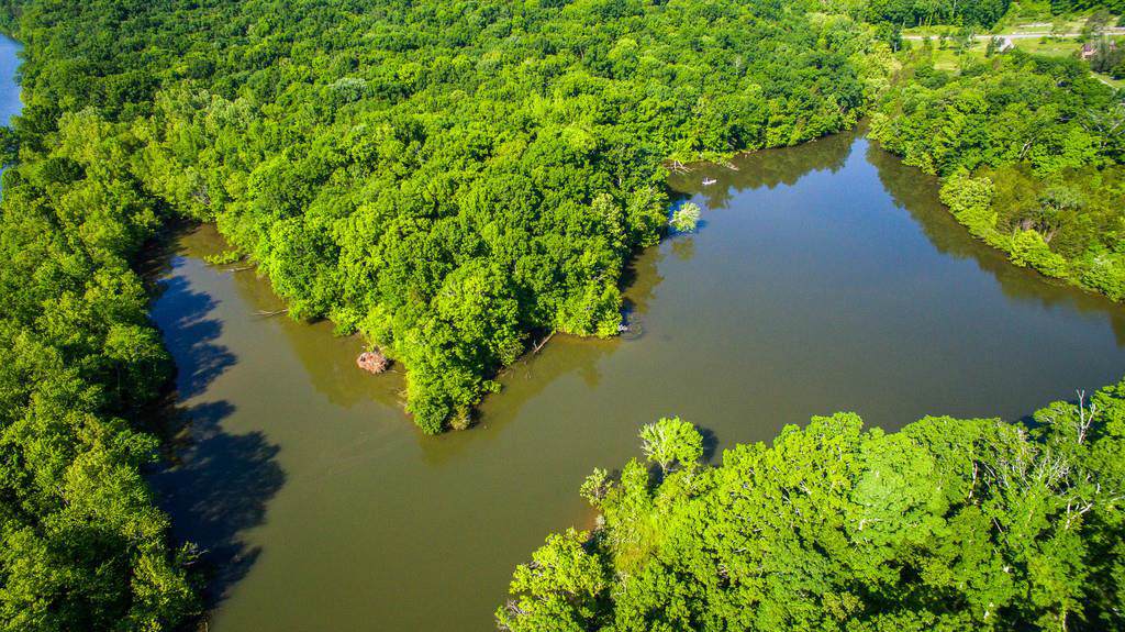 300 Cedar Hollow Ct - Lot 13 - Photo 1