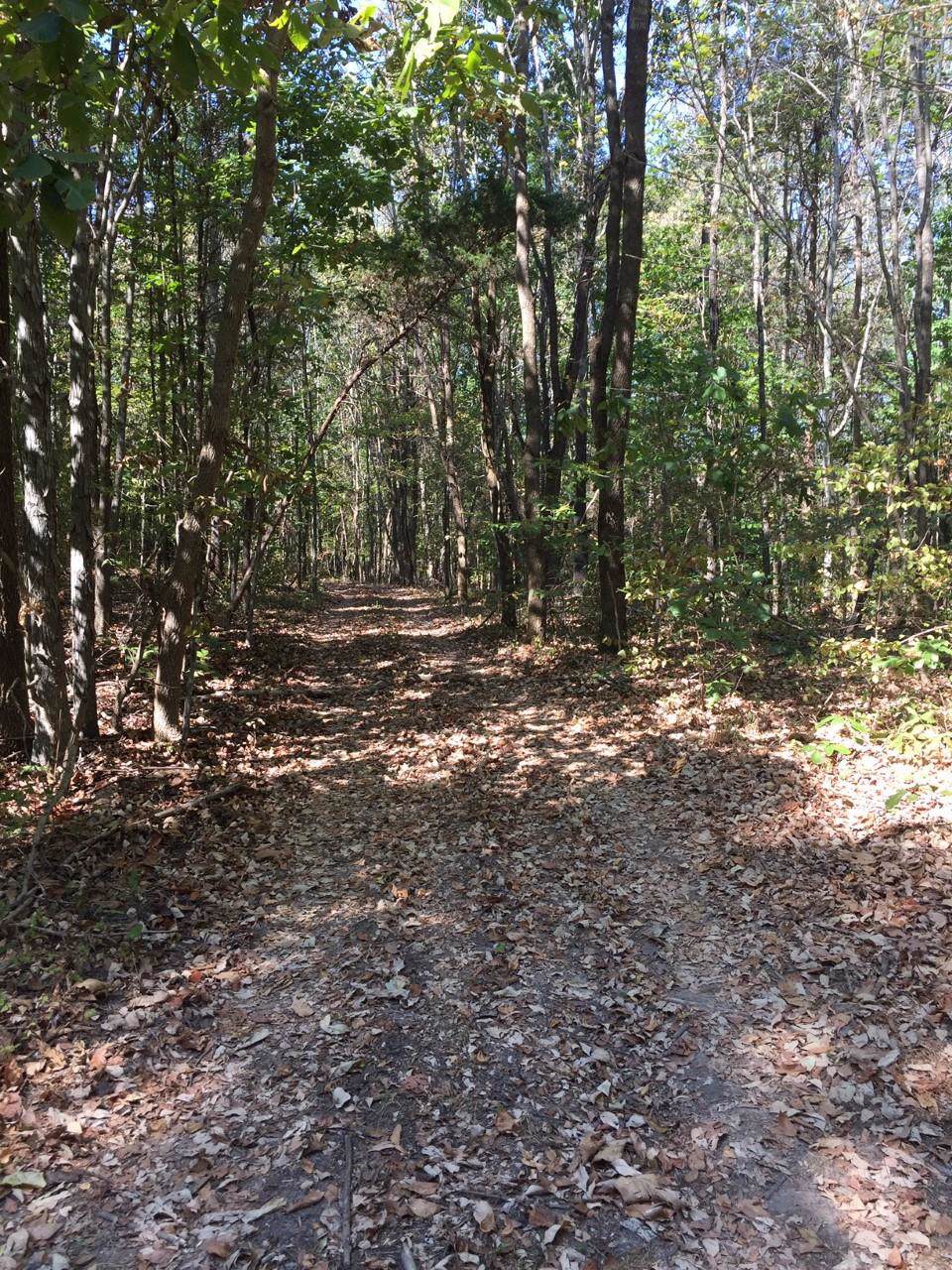 0 Russell Rd - Photo 1