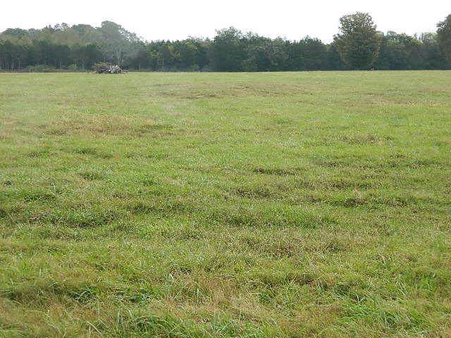 0 Verona Caney Rd - Photo 1