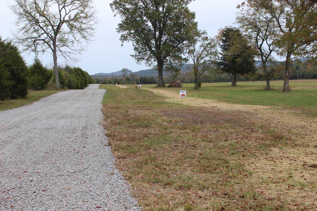0 Cainsville Road - Photo 1
