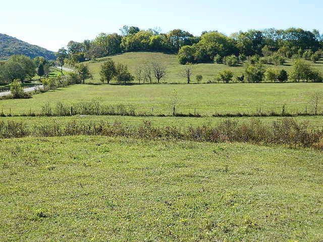 4317 Peyt-Trinity Rd - Photo 1