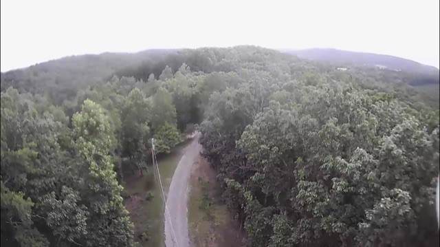 0 Bigsby Creek Road - Photo 1