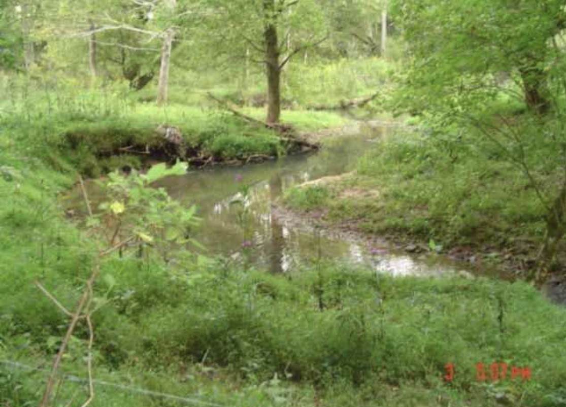 0 Wildcat Cove Rd - Photo 1
