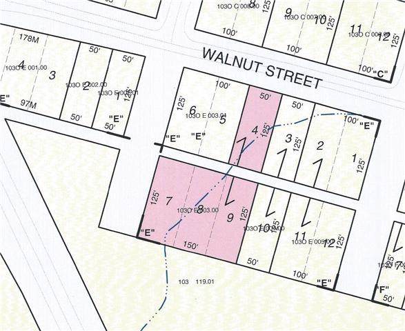 0 West Walnut Street - Photo 1