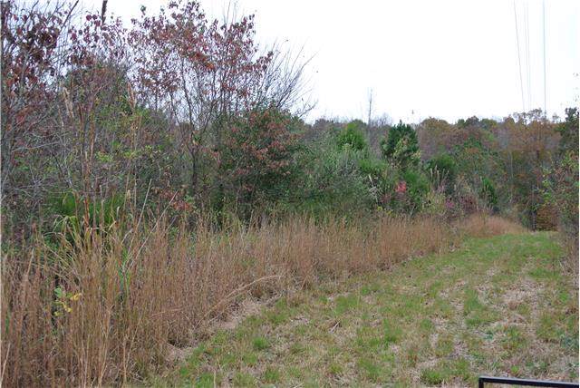 444 Knox Pearson Rd - Photo 1