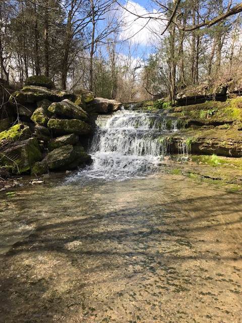 0 Ward Hollow Rd - Photo 1