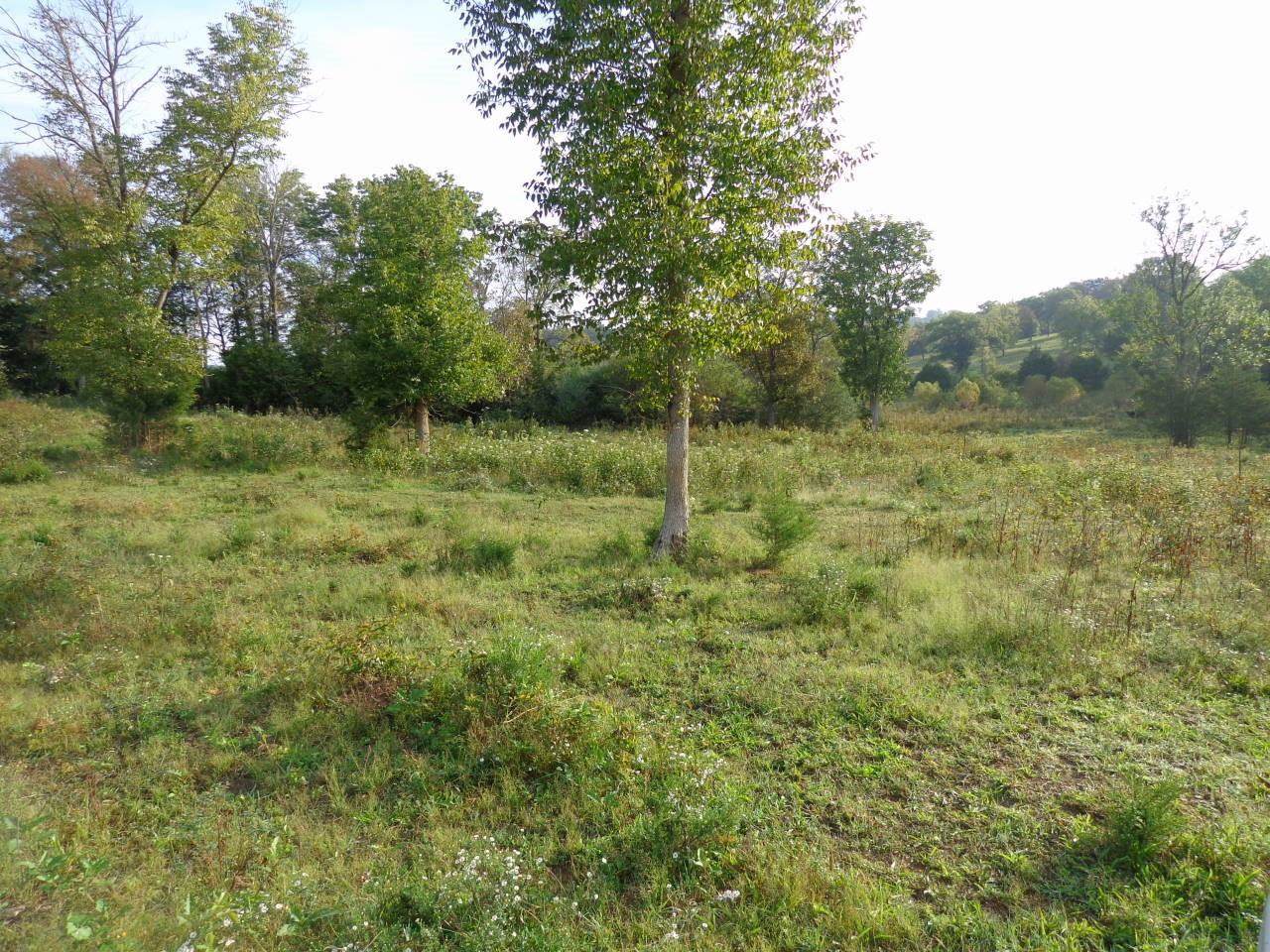 3 Railroad Rd - Photo 1 3 Railroad Rd - Photo 1